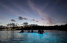 New Horizons & Breakaway Charters4