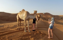 Desert Fun Toruism LLC2