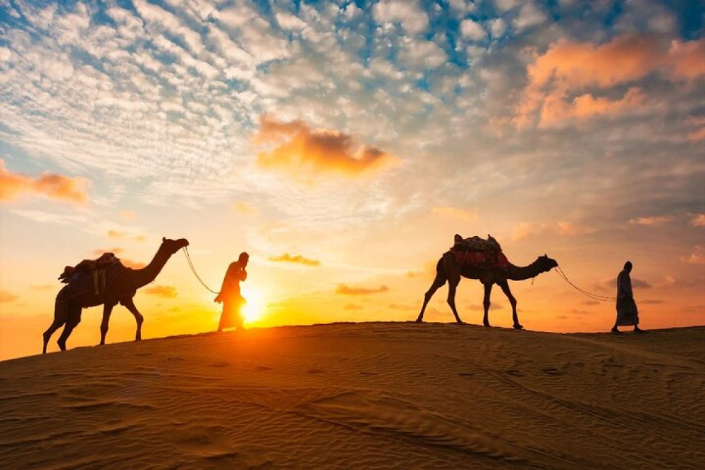 Early Morning Desert Safari Camel Ride, Sandboarding & Falcon Photo