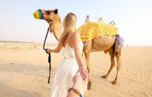 Desert Fun Toruism LLC4