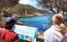 Wineglass Bay Discovery Tours3