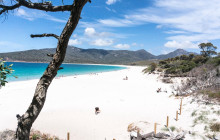 Wineglass Bay Discovery Tours8