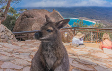Wineglass Bay Discovery Tours13