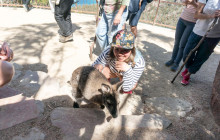 Wineglass Bay Discovery Tours24