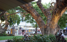 Darwin Gourmet Tours16