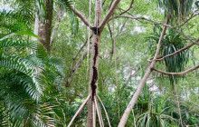 Darwin Gourmet Tours9