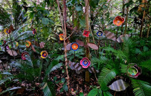 Darwin Gourmet Tours13
