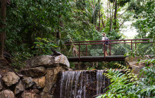Darwin Gourmet Tours2