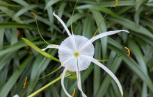 Darwin Gourmet Tours18
