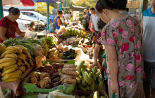 Darwin Gourmet Tours28