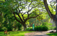 Darwin Gourmet Tours33