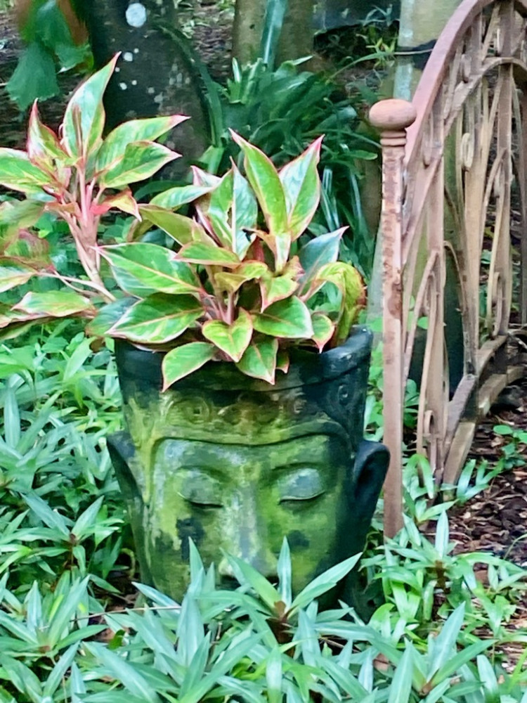 Full Day Tropical Gardens Tour With Outback Gourmet Meal & Sightseeing