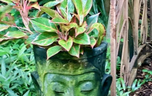 Darwin Gourmet Tours1
