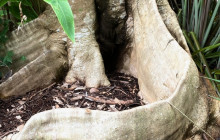 Darwin Gourmet Tours3
