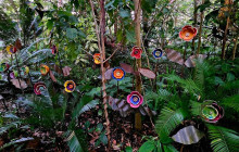 Darwin Gourmet Tours9