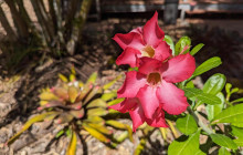 Darwin Gourmet Tours18