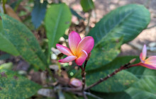 Darwin Gourmet Tours23