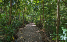 Darwin Gourmet Tours24