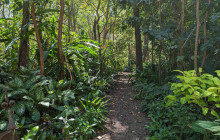 Darwin Gourmet Tours25