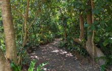 Darwin Gourmet Tours26