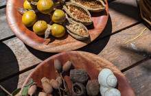 Darwin Gourmet Tours28