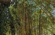 Darwin Gourmet Tours32