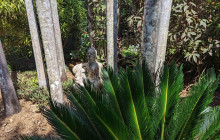 Darwin Gourmet Tours36