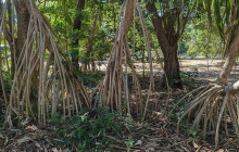 Darwin Gourmet Tours37