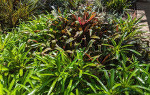 Darwin Gourmet Tours38