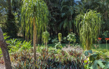 Darwin Gourmet Tours42