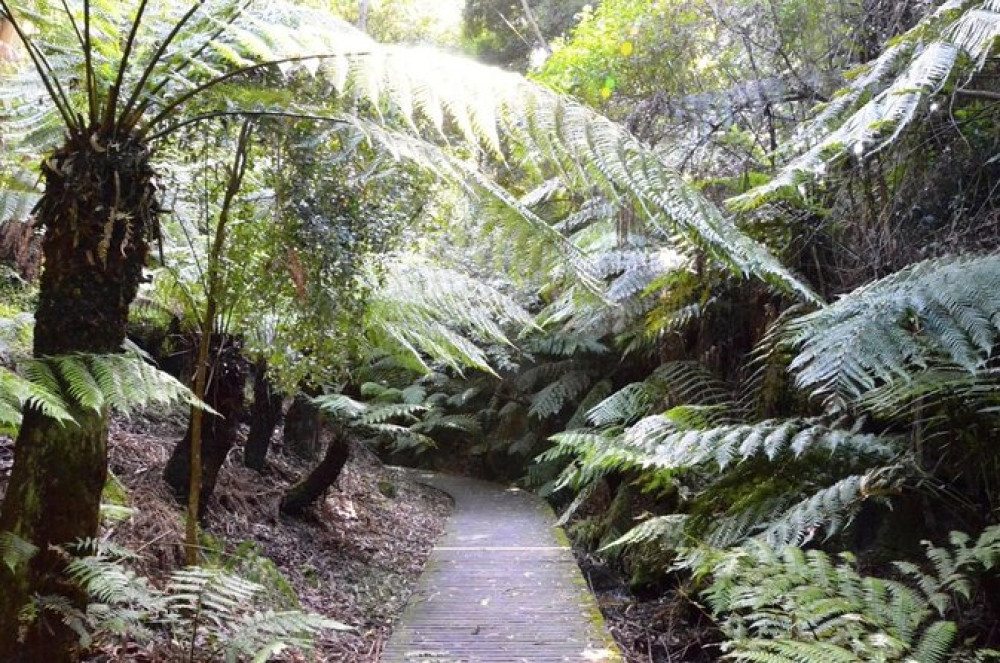 Darwin Gourmet Tours