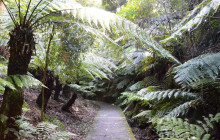 Darwin Gourmet Tours9