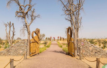 Desert Fun Toruism LLC6