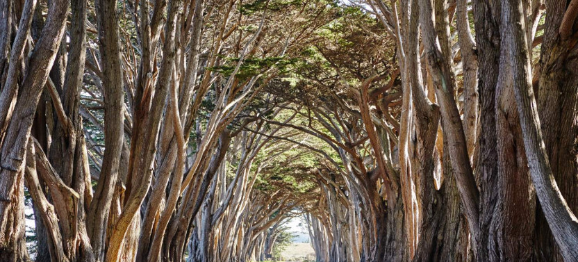 Point Reyes National Seashore Self-Guided Driving Tour