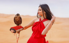 Desert Fun Toruism LLC2