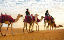 Desert Fun Toruism LLC8