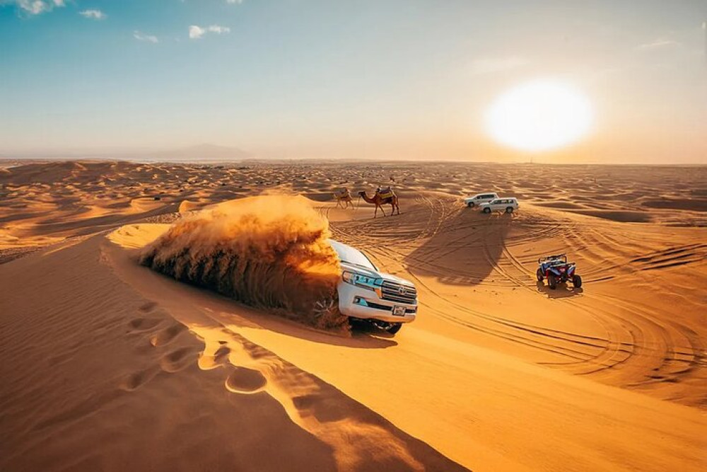 Private Red Dunes Safari With Camel Ride, Falcon Photo & Dune Thrills