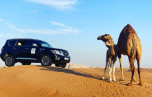 Desert Fun Toruism LLC17