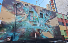 Radelaide Tours4