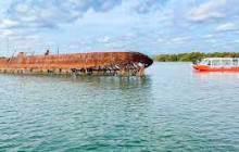 Radelaide Tours4