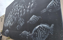 Radelaide Tours5