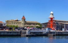 Radelaide Tours8