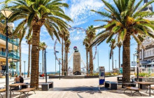 Radelaide Tours7