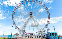 Radelaide Tours10