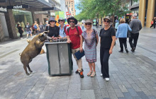 Radelaide Tours11