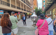 Radelaide Tours11