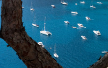 Direction Capri6