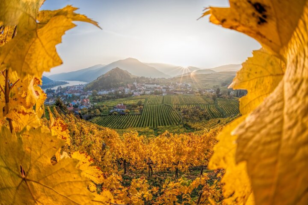 Vienna: Wachau Wonders & Magical Hallstatt Small-Group Day Trip