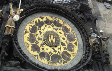 White Alligator Tours2