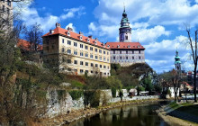 White Alligator Tours4
